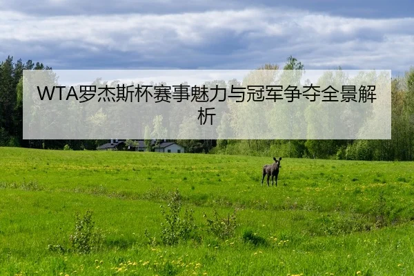 WTA罗杰斯杯赛事魅力与冠军争夺全景解析