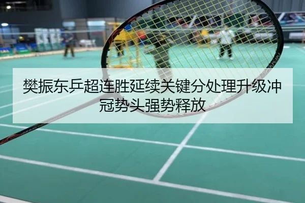 樊振东乒超连胜延续关键分处理升级冲冠势头强势释放