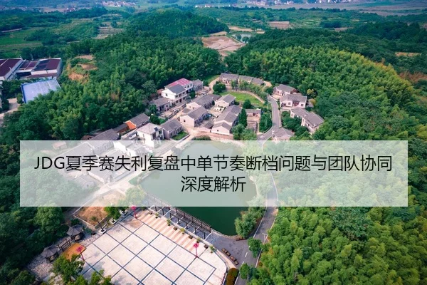 JDG夏季赛失利复盘中单节奏断档问题与团队协同深度解析