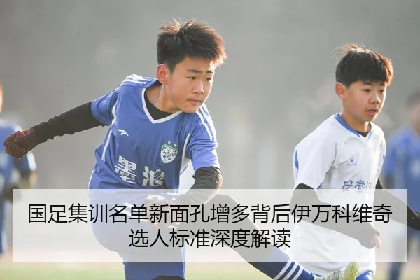国足集训名单新面孔增多背后伊万科维奇选人标准深度解读